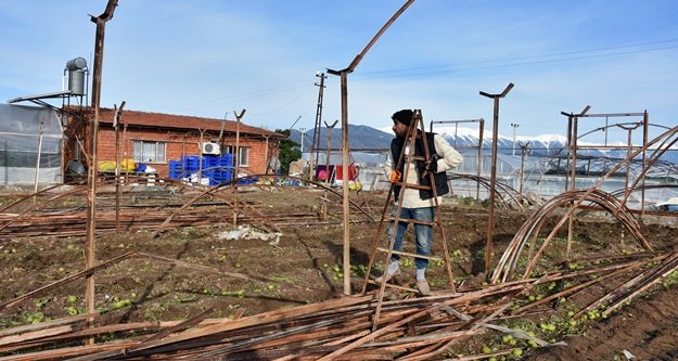 TARSİM sigortası üreticiye umut oldu