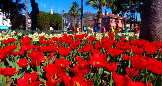Alanya caddelerinde bahar müjdelendi