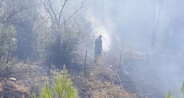 Alanya’da bahçede çıkan yangın ucuz atlatıldı!