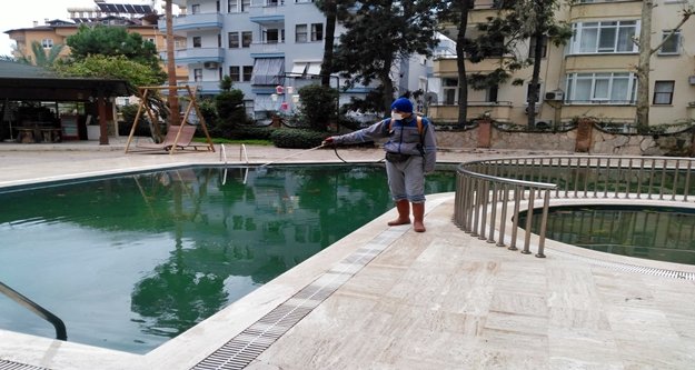Alanya’da sinekle mücadele hız kesmiyor