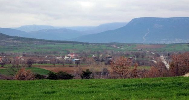 Alanyalı iş adamından kenevir ekme talebi