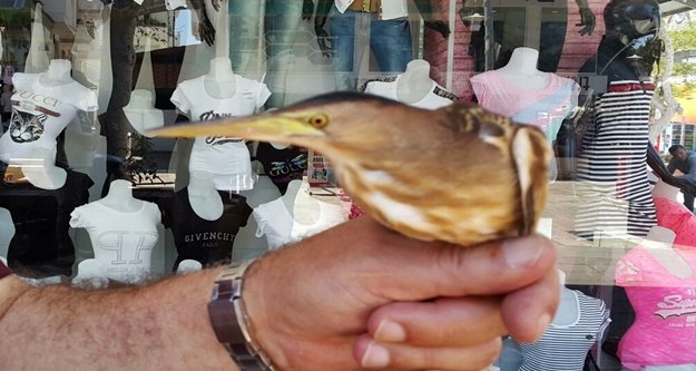 Duyarlı vatandaşların ihbarıyla kurtuldular!