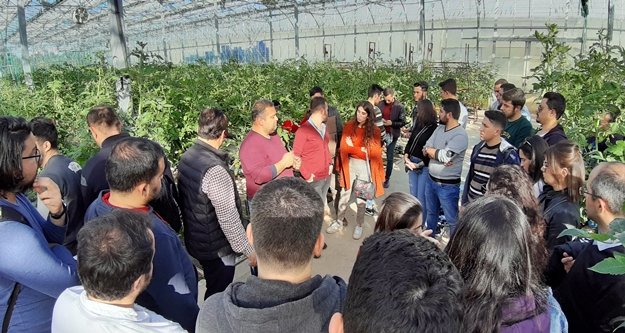 Topraksız seraları ziyaret ettiler