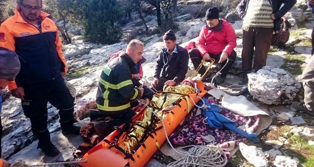 Keçi otlatırken kayalıklara düştü, ekipler güçlükle kurtardı!