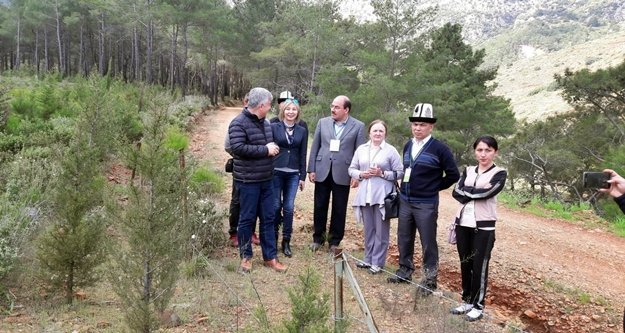 Kırgız ve Rus ekip yangın alanını inceledi