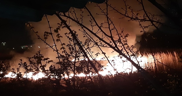 Sazlık yangını korkuttu!