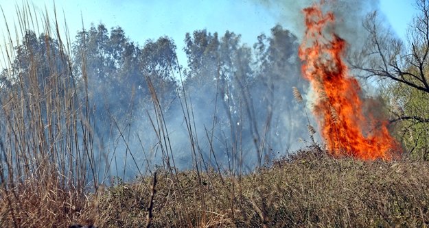Sazlık yangını yürekleri ağza getirdi!