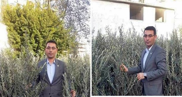 Tahir Göktepe'den zeytin duyurusu