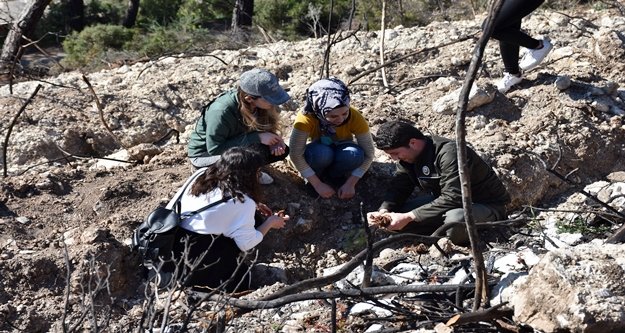 Yangın mağduru Vefa Tepesi yeniden yeşerecek