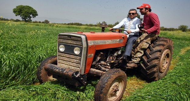 Yerli yem üretiminde sevindirici haber