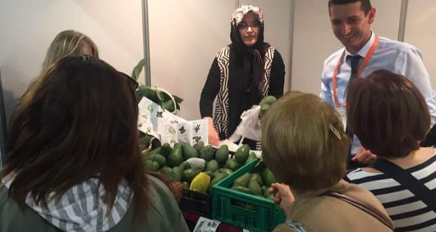 İstanbullu Alanya Avokadosuna hücum etti