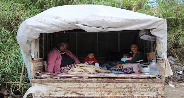 Kamyonet kasasında umutlu bekleyiş