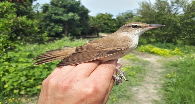 Öğrencilere kuş halkalamanın önemi anlatıyor