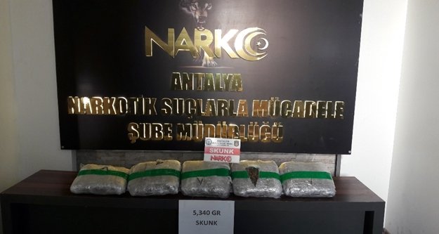 Uyuşturucu operasyonu: 11 tutuklama