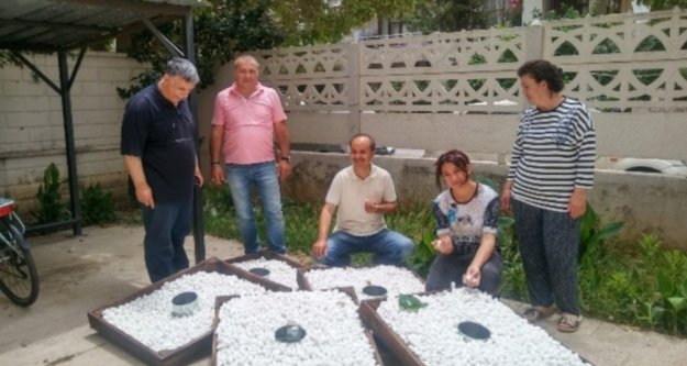 2019'da Alanya'da ne kadar koza üretimi gerçekleşti?