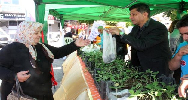Alanya Belediyesi 15 bin su kabağı fidesi dağıttı