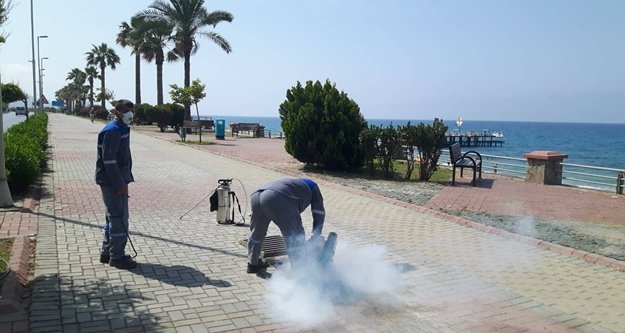 Alanya'da sinekle mücadele hız kesmiyor