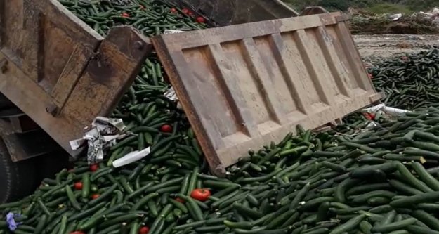 Çöpe dökülen 13 kamyon salatalık için ne dediler?