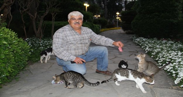 Kedisi Minnoş’u bulana en organik ödül