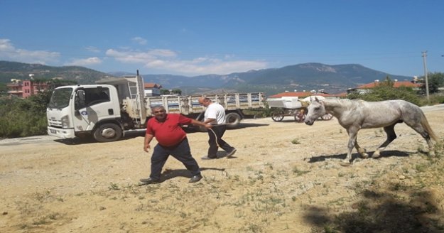 Alanya'da fayton faaliyeti sona erdi