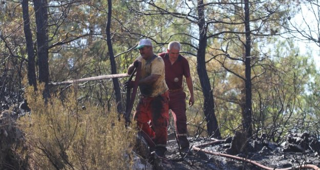 Alanya'nın akciğeri kül oldu