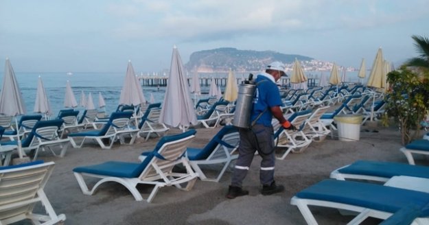 Alanya’da gece gündüz haşere mücadelesi sürüyor