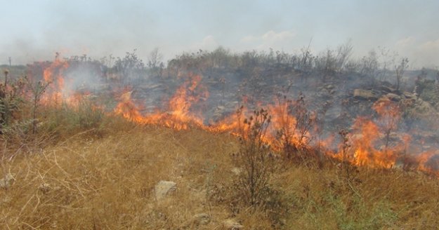 Cezaevi inşaatı yakınında 3 buçuk dönüm arazi yandı