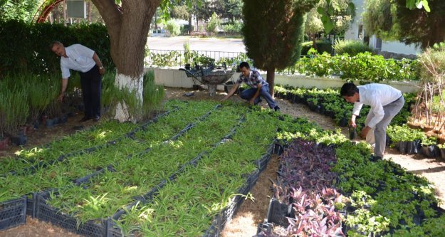 Mezarlıklarda ücretsiz çiçek dağıtıldı