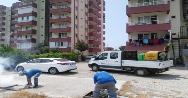 Sinekle yoğun mücadele devam ediyor