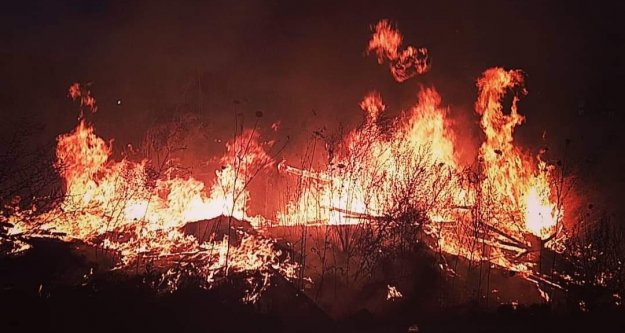 Alanya'da korkutan yangın