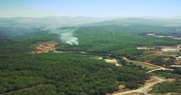 Alanya'daki orman yangını söndürüldü