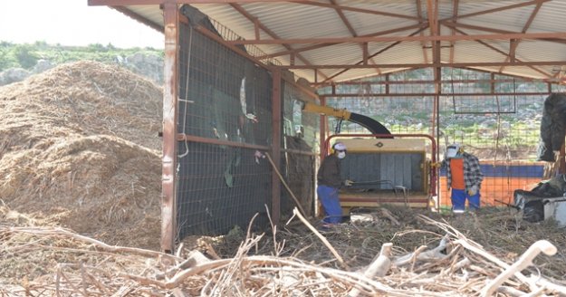 Dal atıklarını kompost gübreye çeviriyor