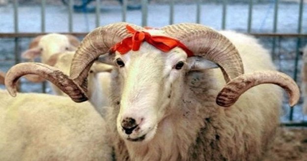 Turizm sektöründen Kurban Bayramı tatili çağrısı