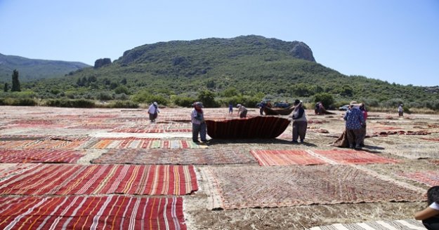 Halı tarlaları dünya basınında