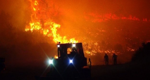 Komşuda 30 hektarlık ormanlık alan kül oldu