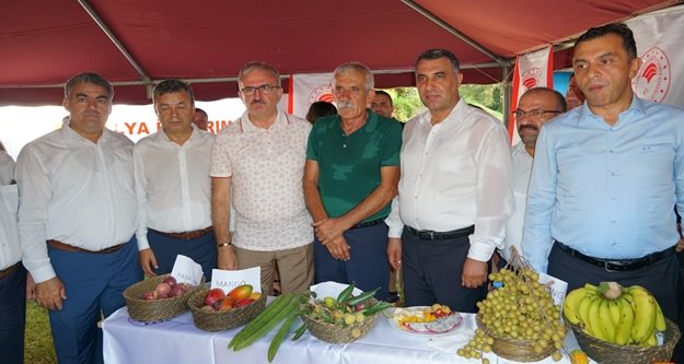 Komşuda tropikal meyve hasat şenliği yapıldı