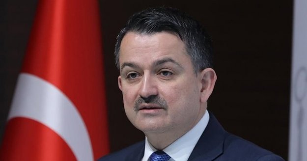 Mısır üreticilerine müjde