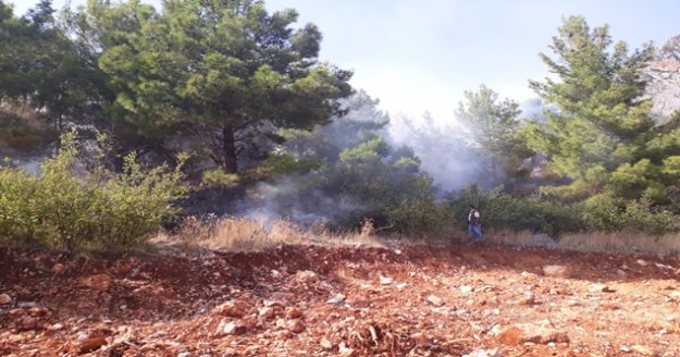 Orman yangınında 1 hektar ormanlık alan zarar gördü