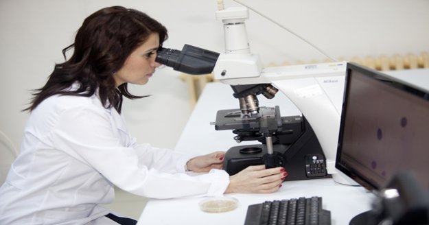 Polenin doğurganlık arttırıcı etkisi