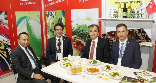 Antalya'da Alanya avakadosu rüzgarı