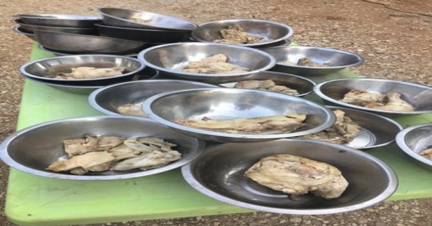 Antalya'da sokak köpeklerine mangal ziyafeti