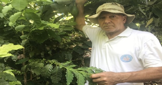 Gazipaşa'da Türk kahvesi üretiyor