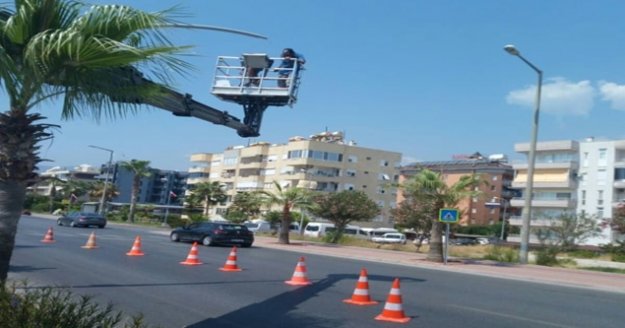 Sahil Yolu aydınlatma direklerine bakım
