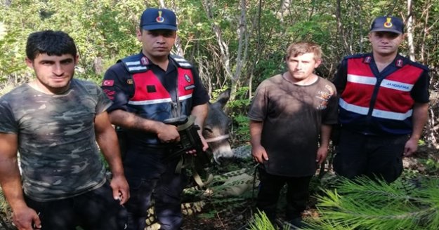 Sürüyü bırakıp kaybolan çoban kaya blokları arasında bulundu