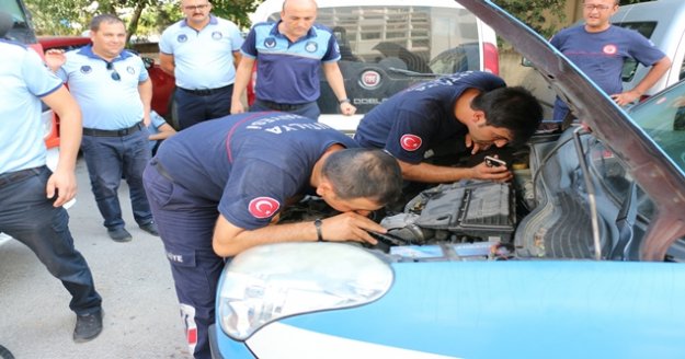 Zabıta aracındaki yavru kedi için itfaiye seferber oldu