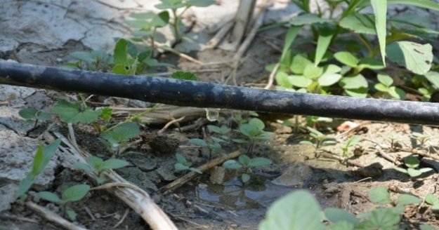 464 bin 739 dekar tarım arazisi sulandı