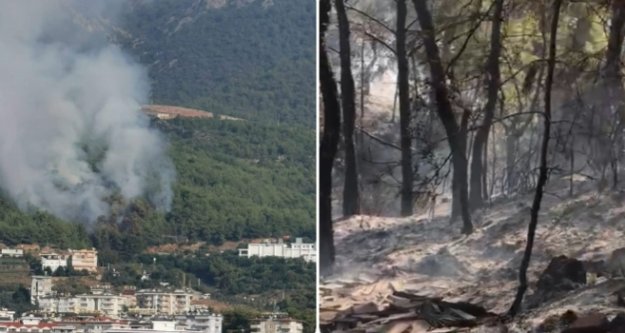 Alanya'nın akciğerleri yandı