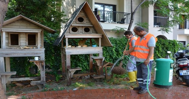 Alanya’da hayvan barınakları unutulmuyor