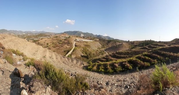 Alanyalıları fidan dikmeye davet etti