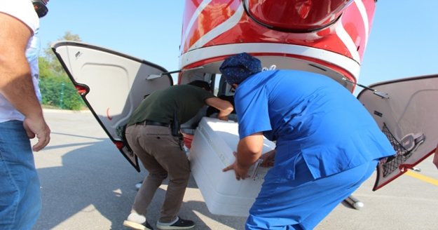 Antalya'dan İstanbul ve Ankara'ya, 'hayat' yolculuğu